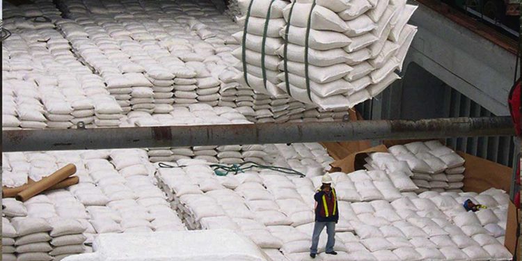 Arroz: ¿Qué estrategias para que escenario?
