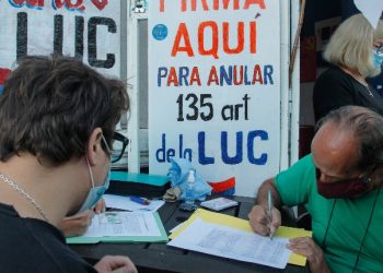Referéndum y otras yerbas