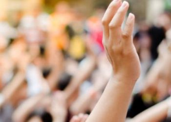 El camino de la formación y participación política