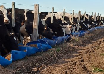 Reliquidación en Conaprole generó conformismo y buen ánimo en sus productores