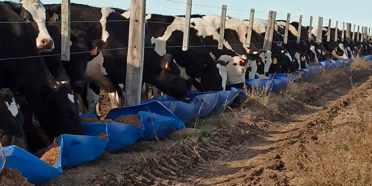 Reliquidación en Conaprole generó conformismo y buen ánimo en sus productores