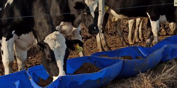 Cuidar el ambiente, el hogar de hoy y mañana