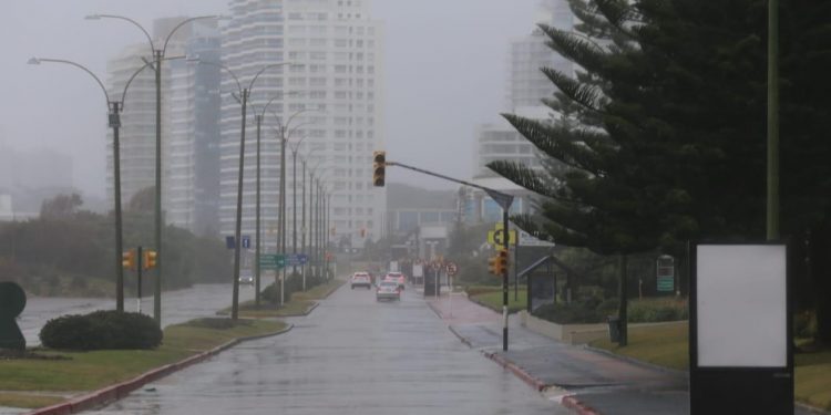 Debido al viento registrado el domingo, los Bomberos atendieron 124 llamados