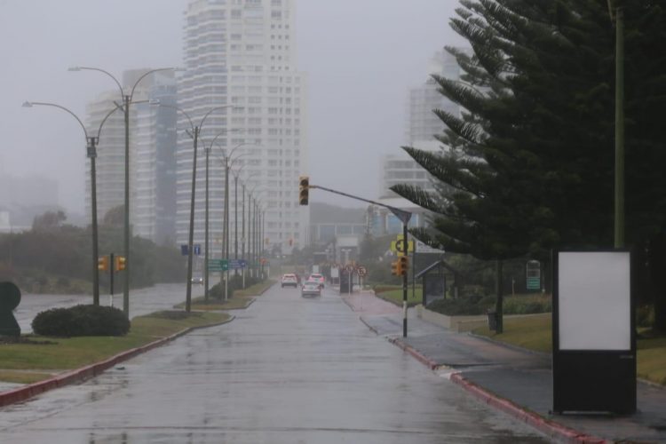 Debido al viento registrado el domingo, los Bomberos atendieron 124 llamados