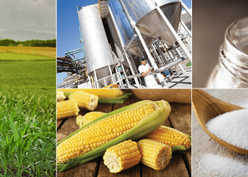 No más superciclos en los precios de materias primas