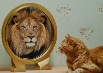 El efecto Pigmalión