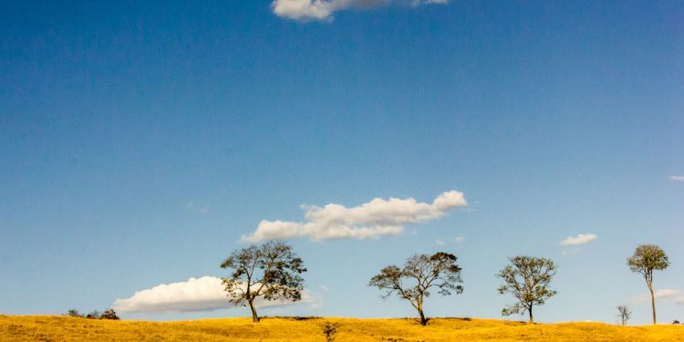 La agricultura como motor de desarrollo