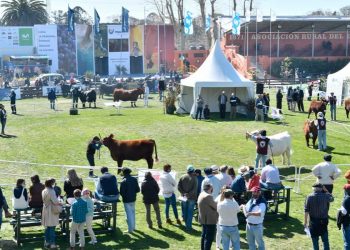 ARU espera una Expo Prado “completa”, dijo el director de Exposiciones