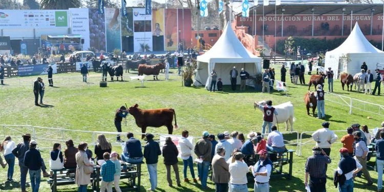 ARU espera una Expo Prado “completa”, dijo el director de Exposiciones