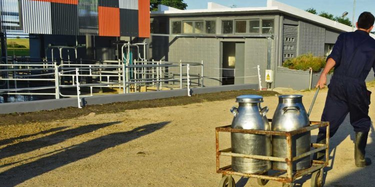 Repensando la lechería