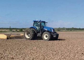 “La transformación del arroz en sus zonas de influencia ha sido enorme”