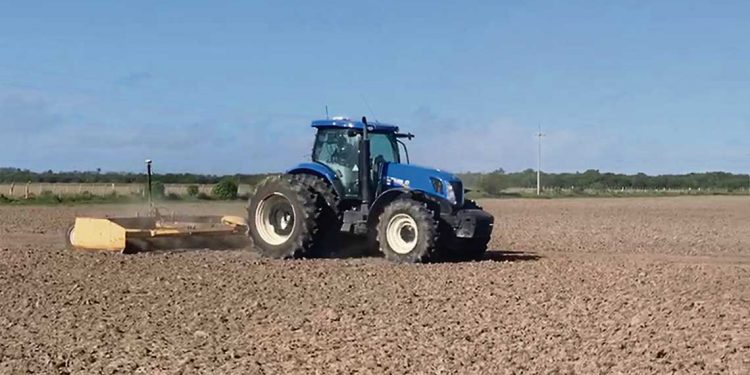 “La transformación del arroz en sus zonas de influencia ha sido enorme”
