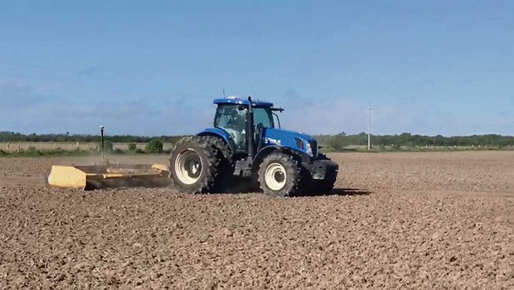 “La transformación del arroz en sus zonas de influencia ha sido enorme”