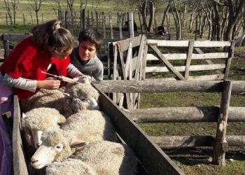 Inclusión de la juventud en las políticas públicas orientadas al desarrollo rural