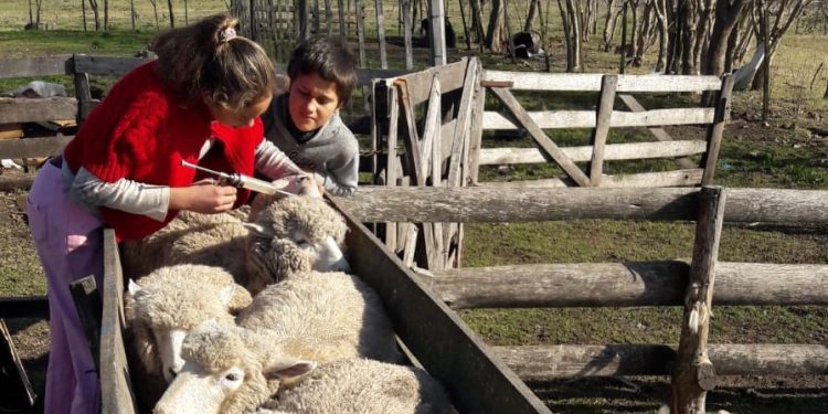 Inclusión de la juventud en las políticas públicas orientadas al desarrollo rural