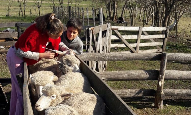 Inclusión de la juventud en las políticas públicas orientadas al desarrollo rural
