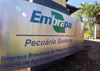 EMBRAPA y la maravilla agrícola brasileña