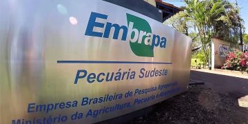 EMBRAPA y la maravilla agrícola brasileña
