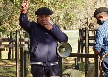 Un clima de negocios óptimo para las carnes