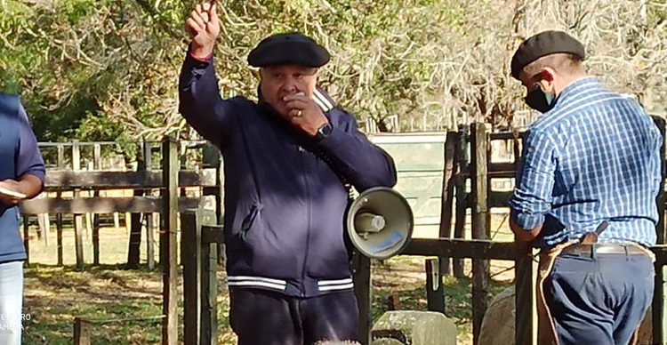 Un clima de negocios óptimo para las carnes