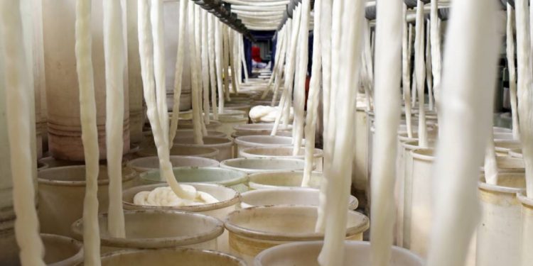 Aunque subió, el valor internacional de la lana continúa deprimido