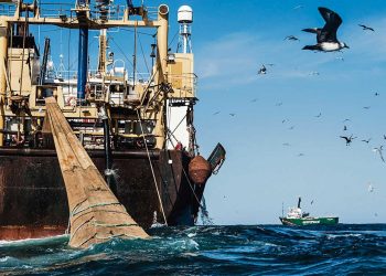 Puerto pesquero de Capurro apuntará a flotas del Atlántico Sur