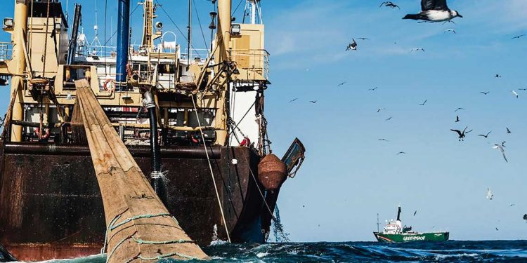 Puerto pesquero de Capurro apuntará a flotas del Atlántico Sur