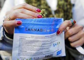 Gobierno impulsa industria del cannabis y mantiene diferencias respecto al control policial
