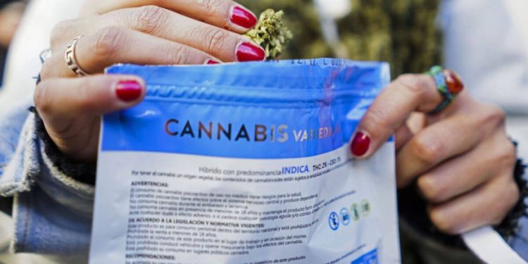 Gobierno impulsa industria del cannabis y mantiene diferencias respecto al control policial