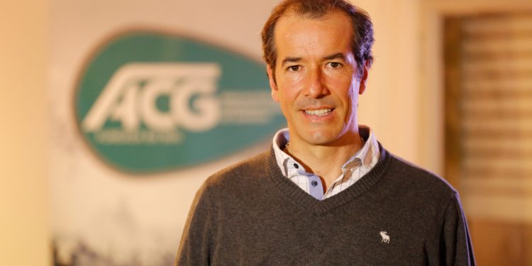 El mercado de las haciendas sigue firme en valores y faena