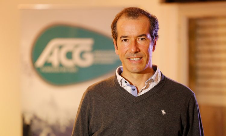 El mercado de las haciendas sigue firme en valores y faena