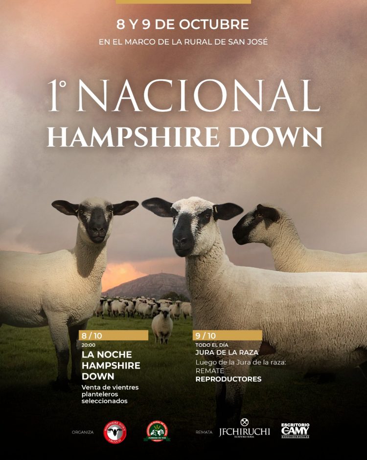 El 8 y 9 de octubre San José vivirá la 1° Nacional Hampshire Down de su historia