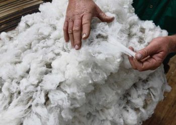 Sector Lanero: “Hay parámetros que nos permiten ser optimistas”