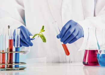 Los desafíos de la bioprospección de plantas medicinales en Uruguay