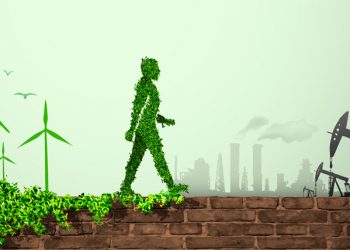 Políticas macroeconómicas para la transición energética