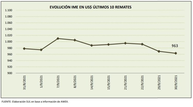 El valor internacional de la lana llega a su menor precio de la zafra