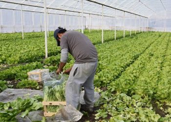 De vuelta, la lucha es por la rentabilidad