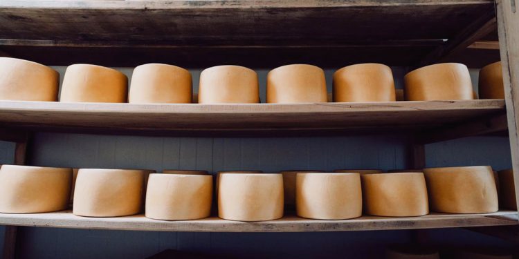 Bancos de Queso y Financiación de la Cadena de Suministro