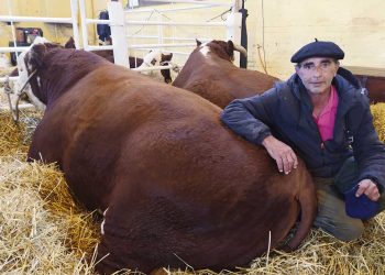 “Cuando vivís en el campo la vida te enseña todo”