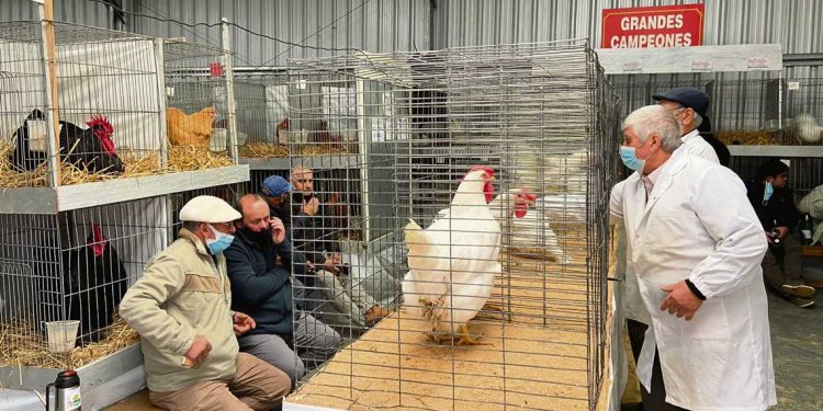 El galpón más visitado del Prado