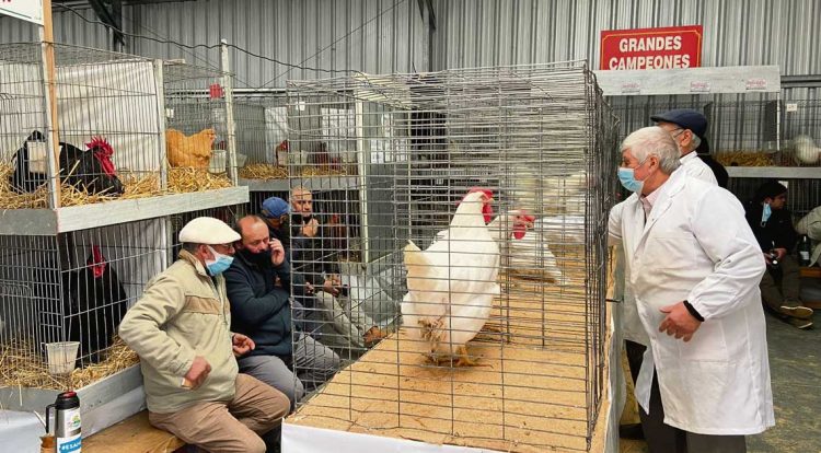 El galpón más visitado del Prado