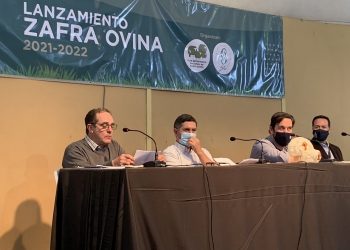 Con optimismo y grandes desafíos, el rubro ovino lanzó la zafra 2021