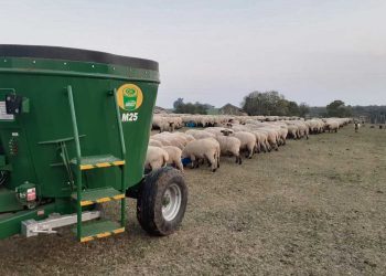 “Cuando en Uruguay fabricamos un producto de calidad, no tenemos techo”