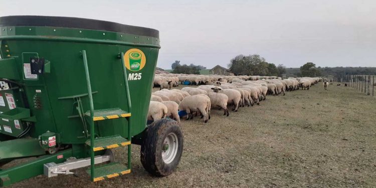 “Cuando en Uruguay fabricamos un producto de calidad, no tenemos techo”