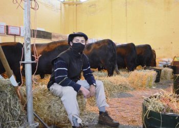 El éxodo del interior al Prado