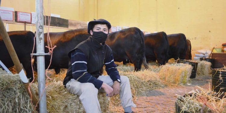 El éxodo del interior al Prado