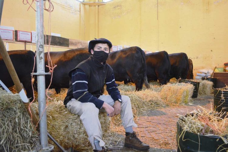 El éxodo del interior al Prado