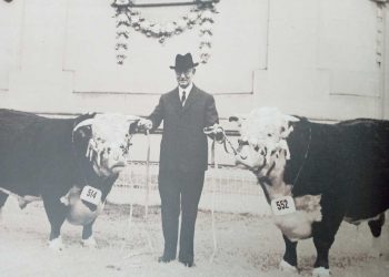 Expo Prado histórico: Referentes de la cabaña nacional