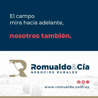publicidad