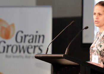 Analista de Rabobank afirmó que el caos marítimo mundial se extenderá hasta el segundo trimestre de 2022